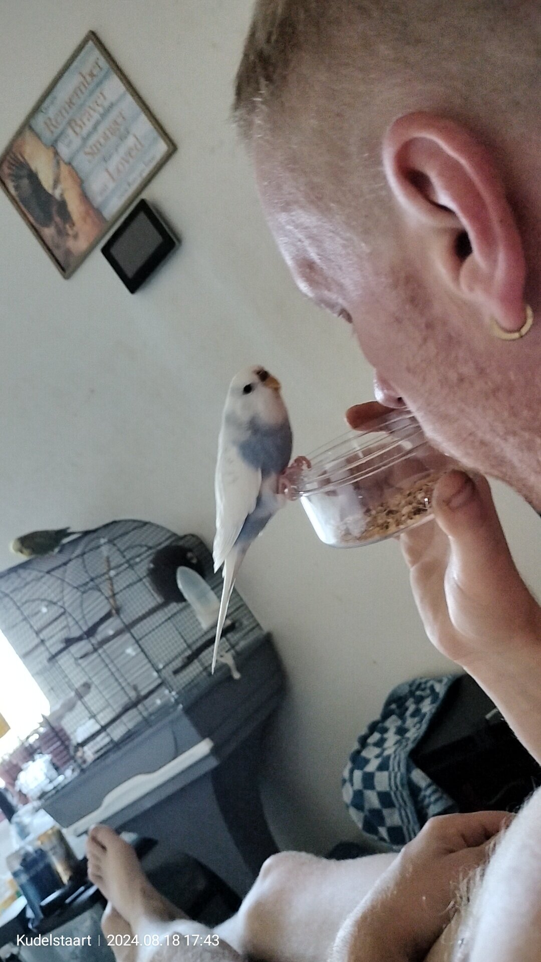 Tomczo