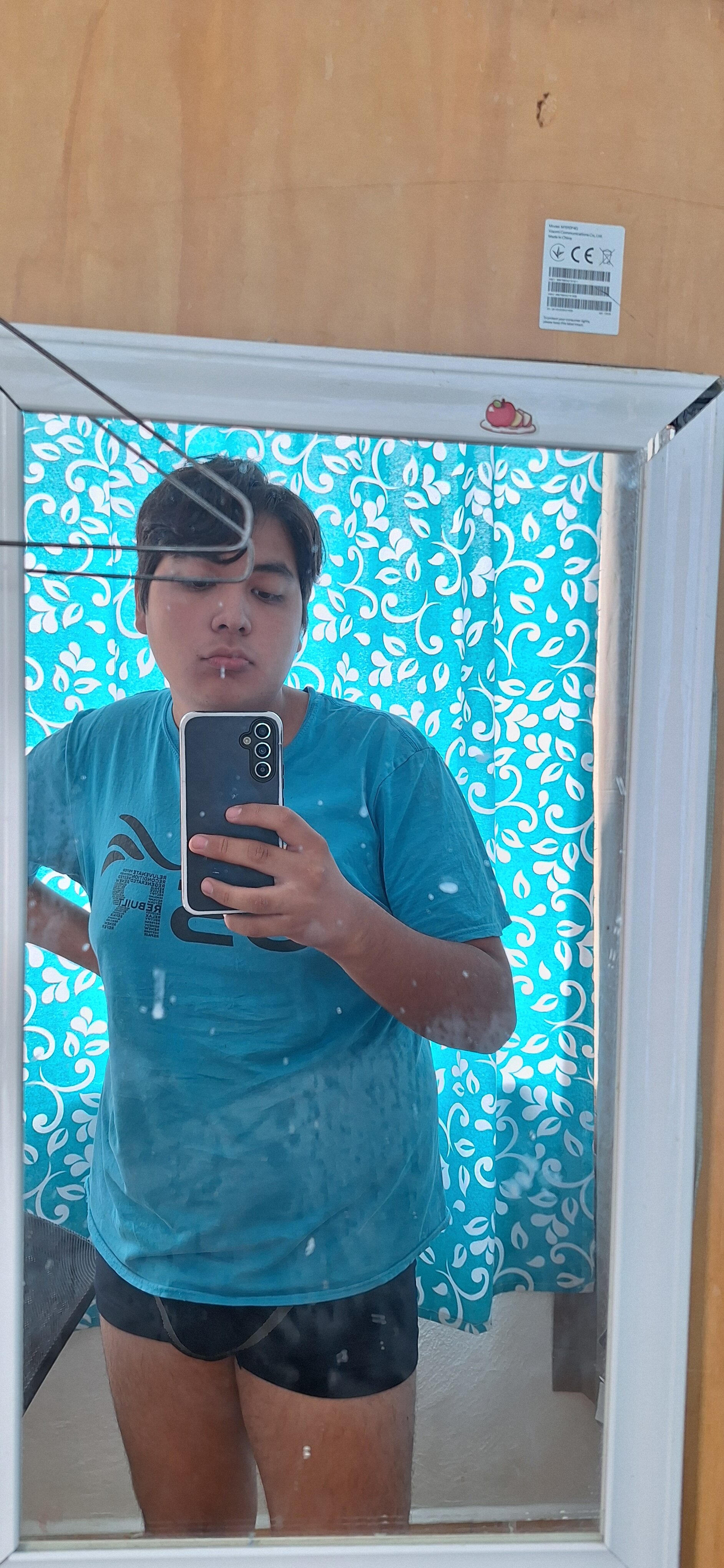 isa_019