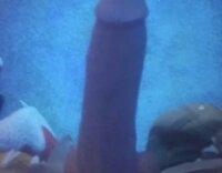 drdilfy007's Offline XXX Chat
