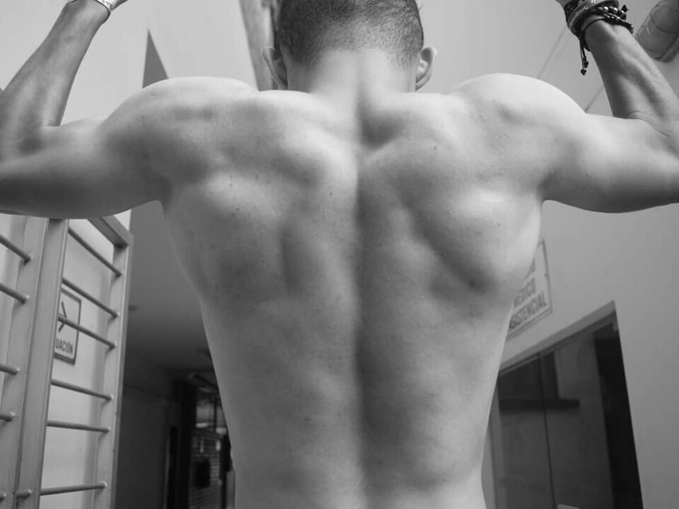 Crisdel11's Offline XXX Chat