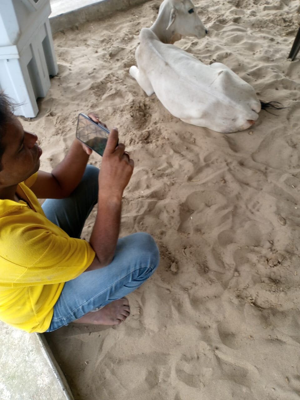 pyash_bujanrwala