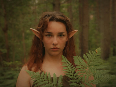 Fairy_Daisy 🎻 live online stream