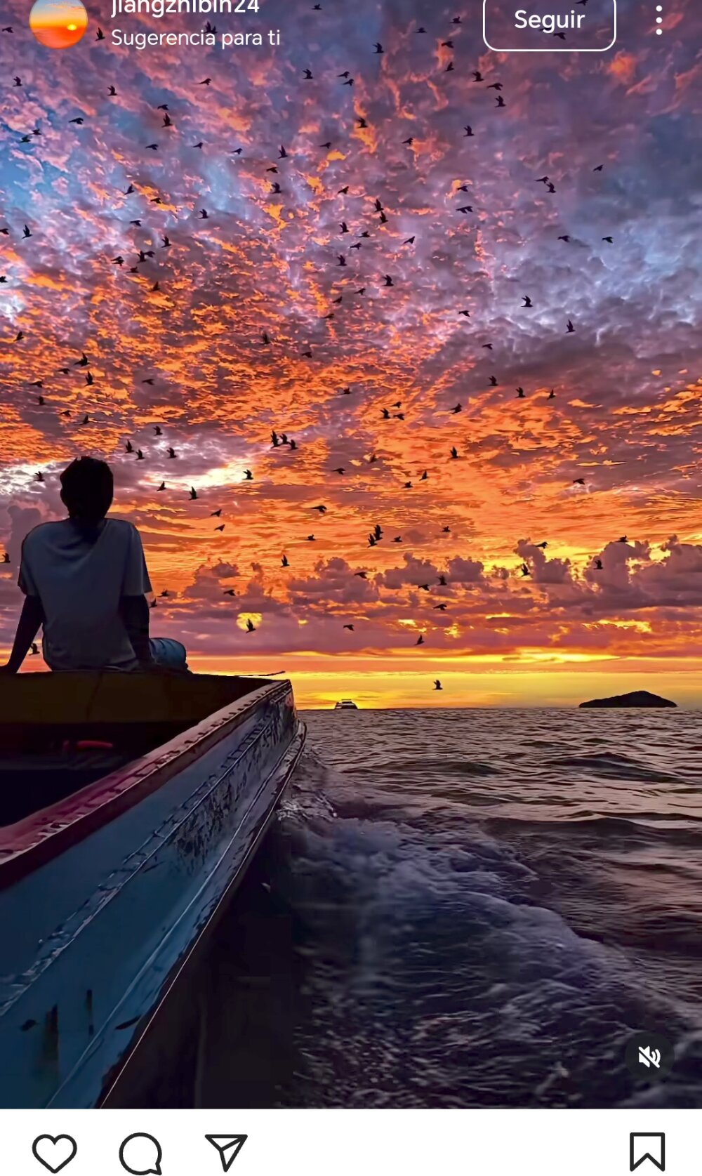 Cirujanoo's Offline XXX Chat