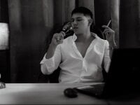 Модель JamesCr_