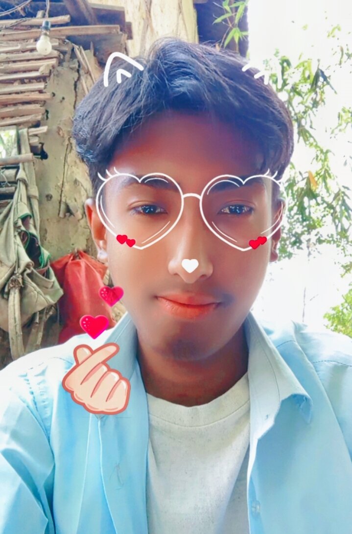 kale_kto