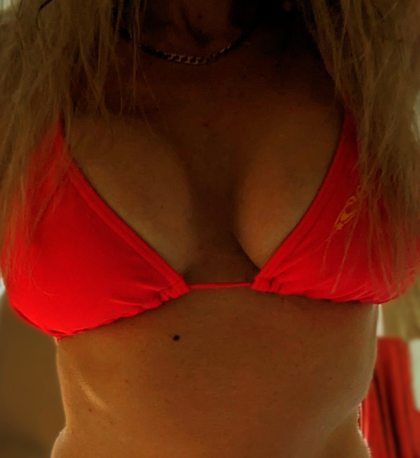 Bee_HoneyX