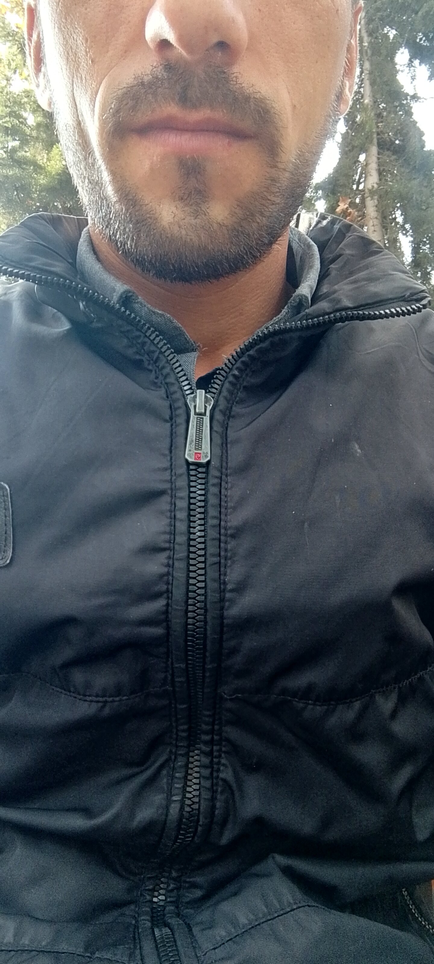 honry-jamil