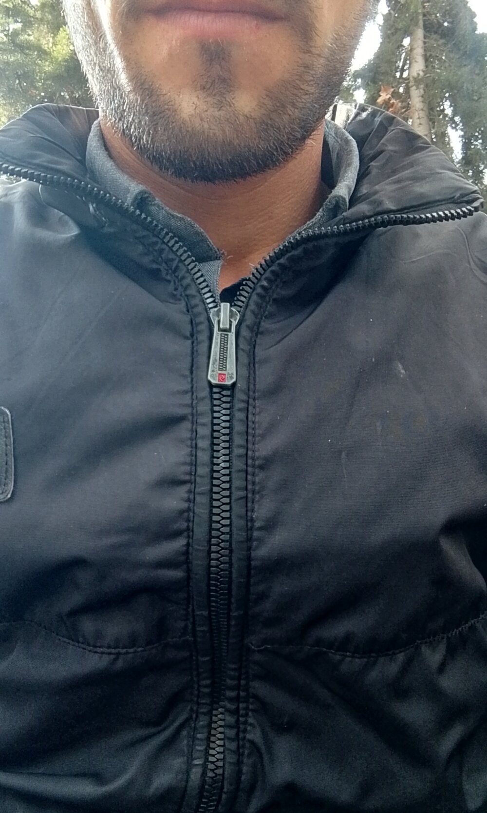 honry-jamil profile