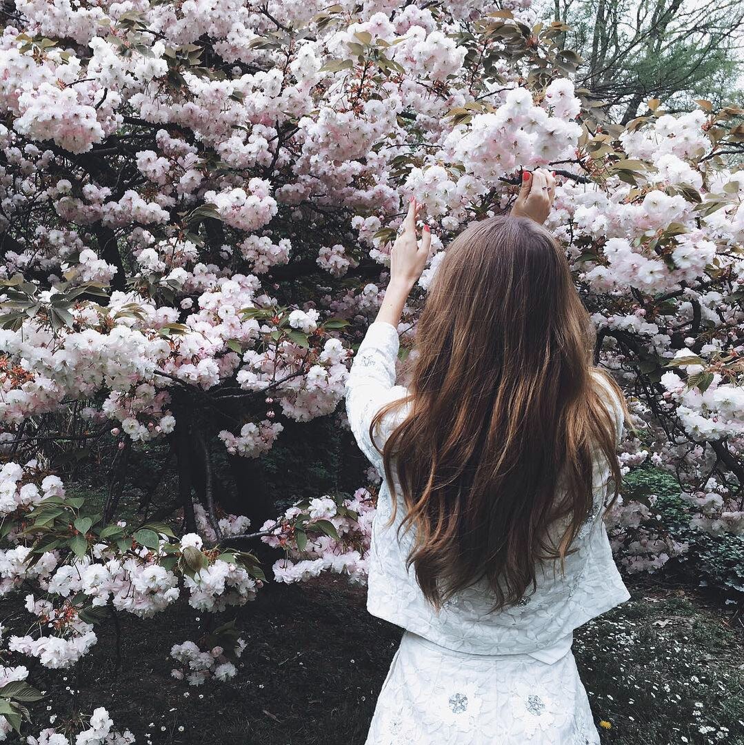 Silk_Agent