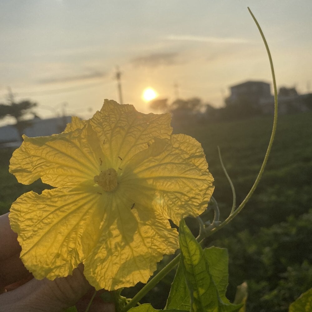 hotboy999qt's Offline XXX Chat