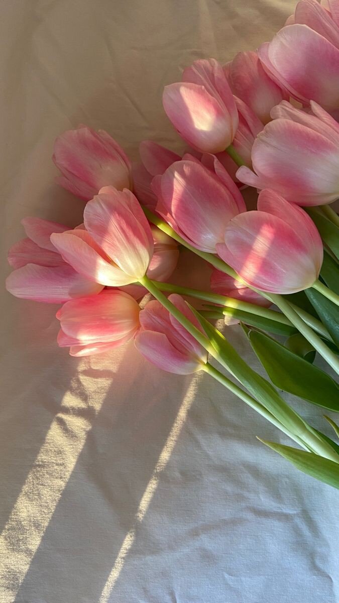 SweetEmily9