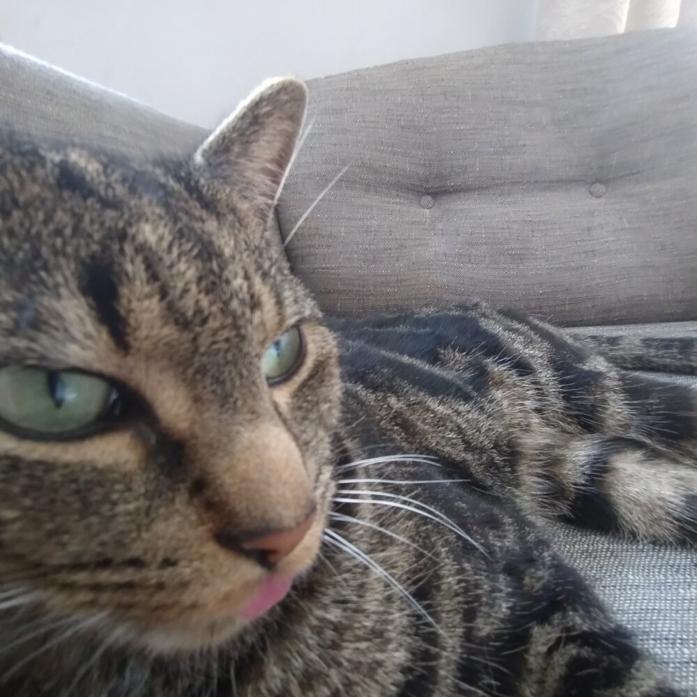 19ukgooner's Offline XXX Chat