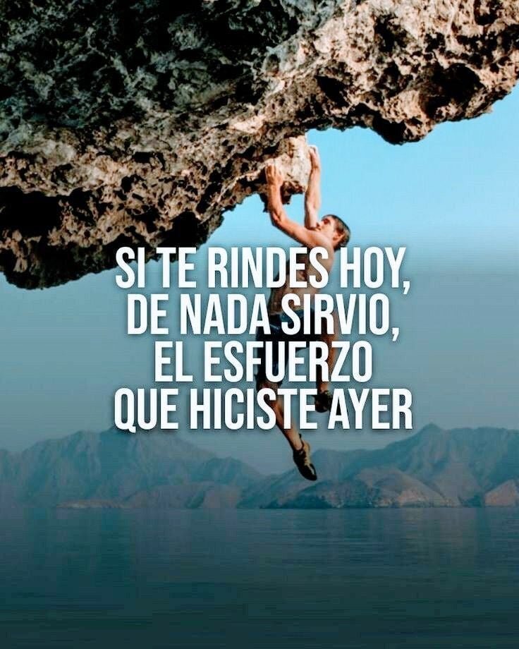 BRO1000X7