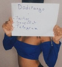 doditango's Offline Chat Room