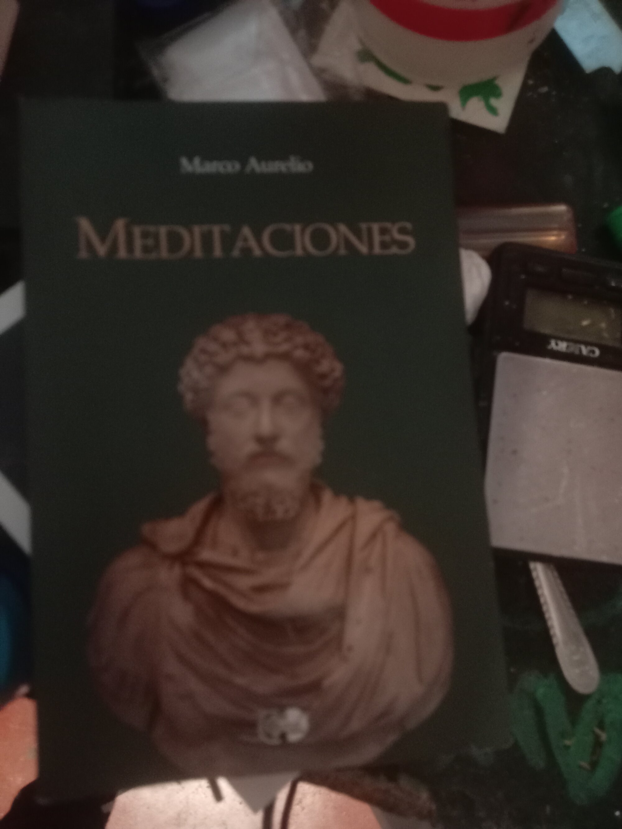 Meloso311017