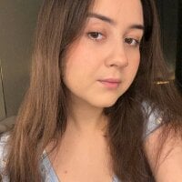Модель shylizadiary