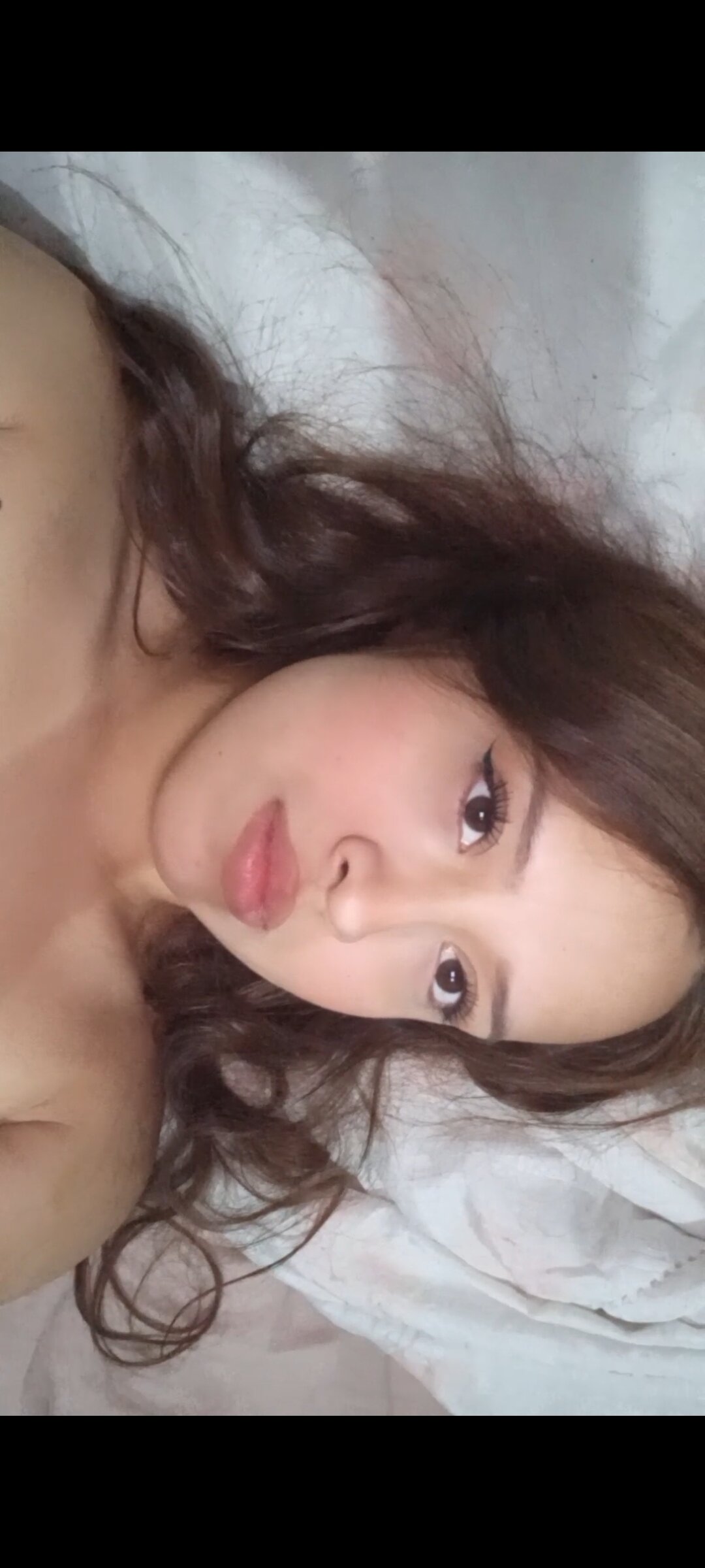 fersita_fresita