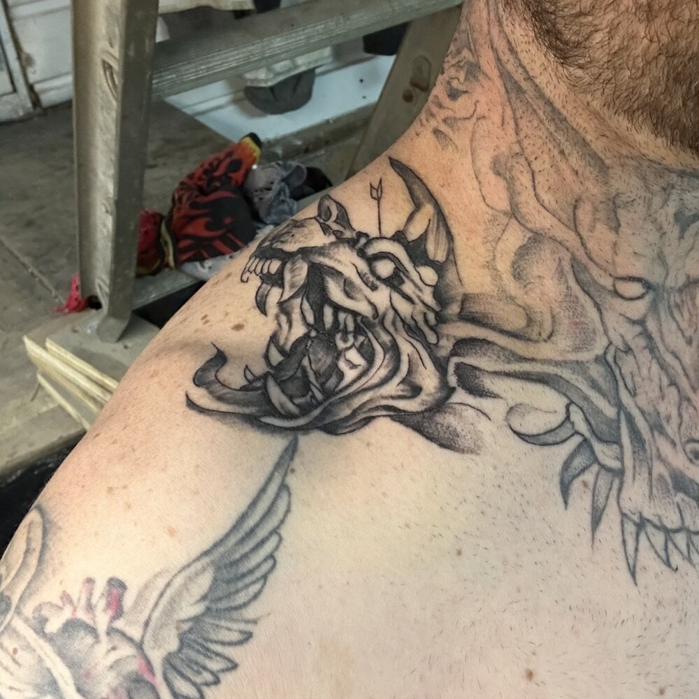 WIDBIGWHITECOCK: συνομιλία ΧΧΧ εκτός σύνδεσης