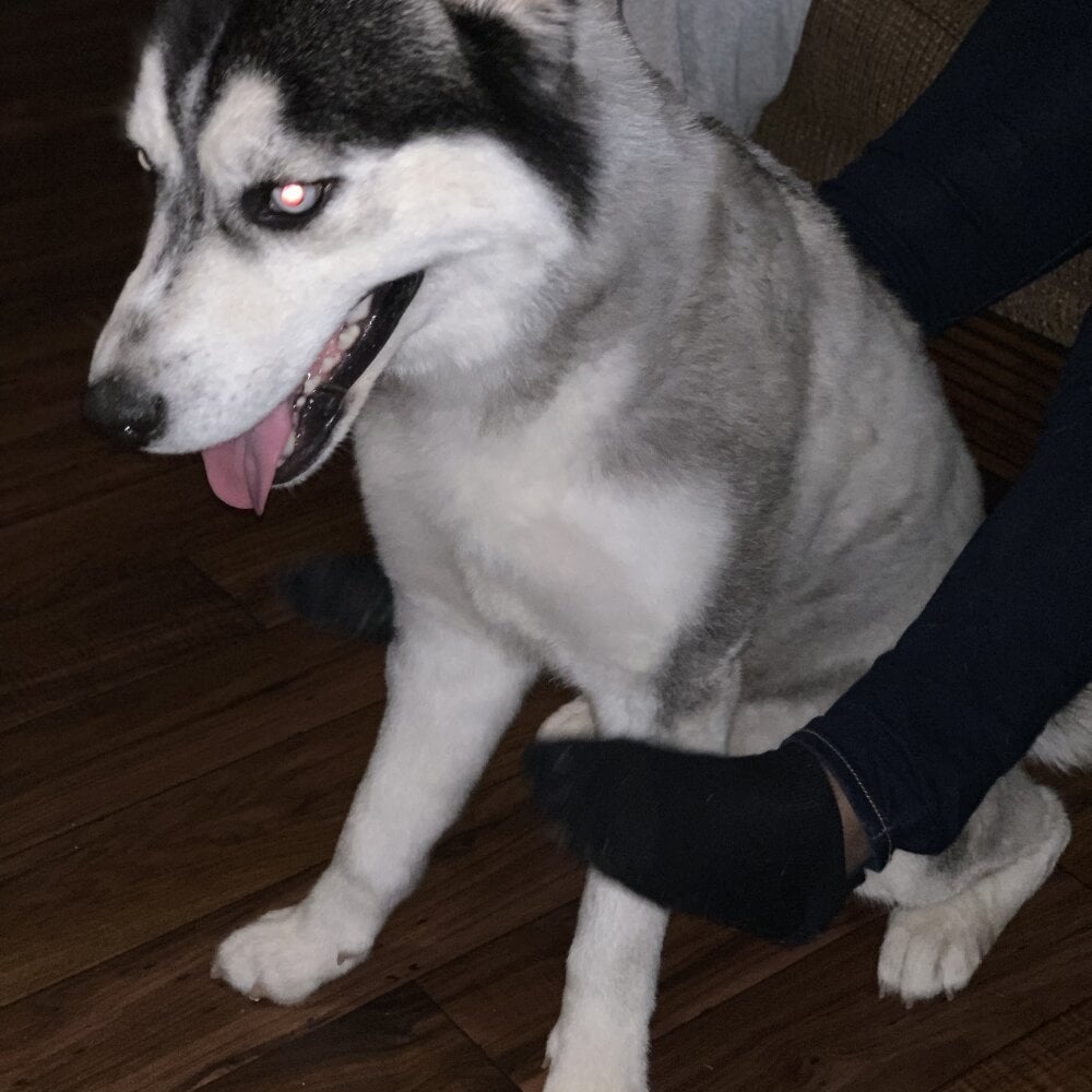 Live sex webcam photo for kndt8 #282653023