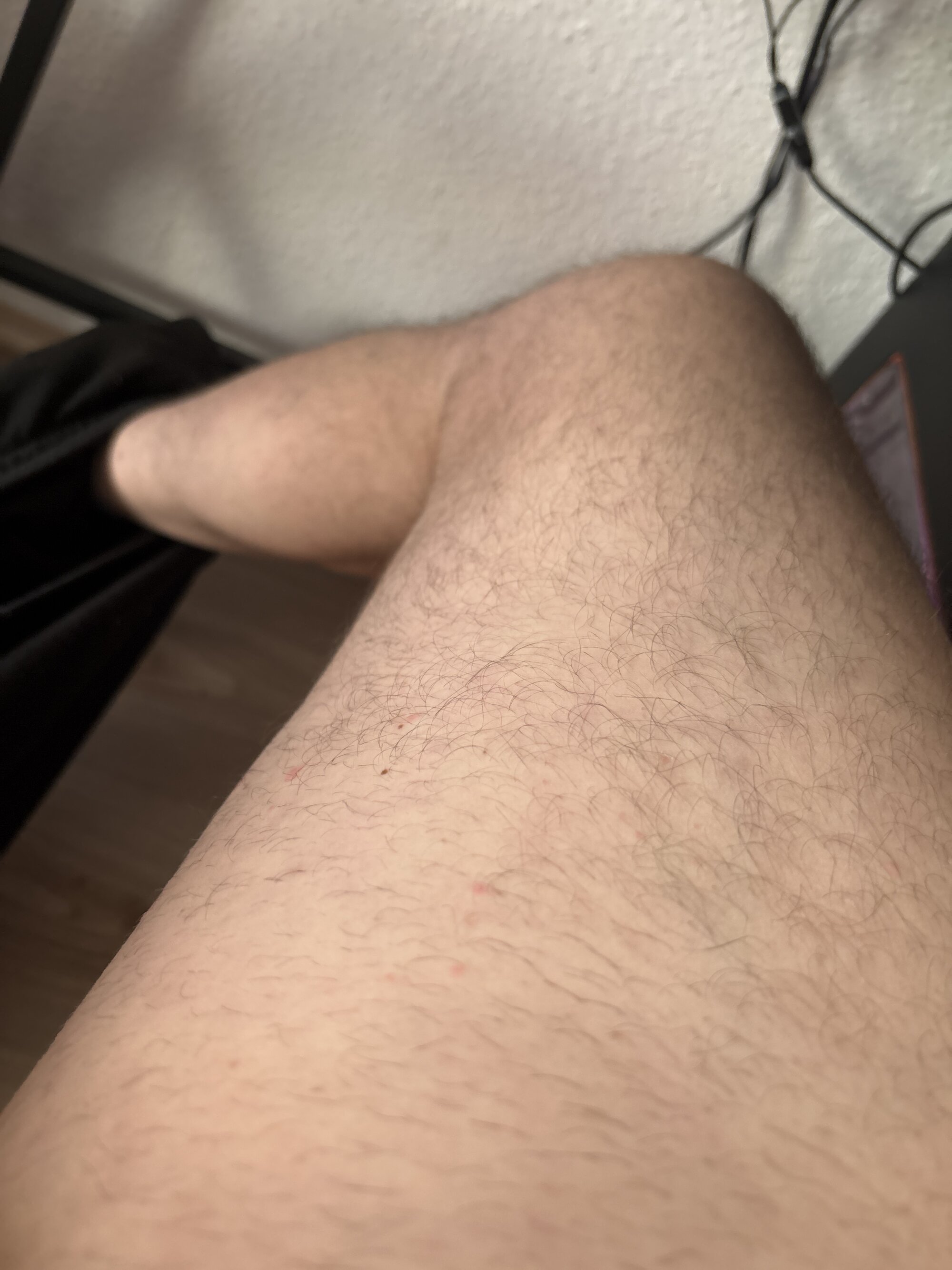 SXNBull
