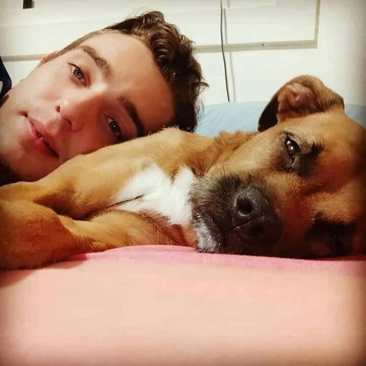 josemcf26