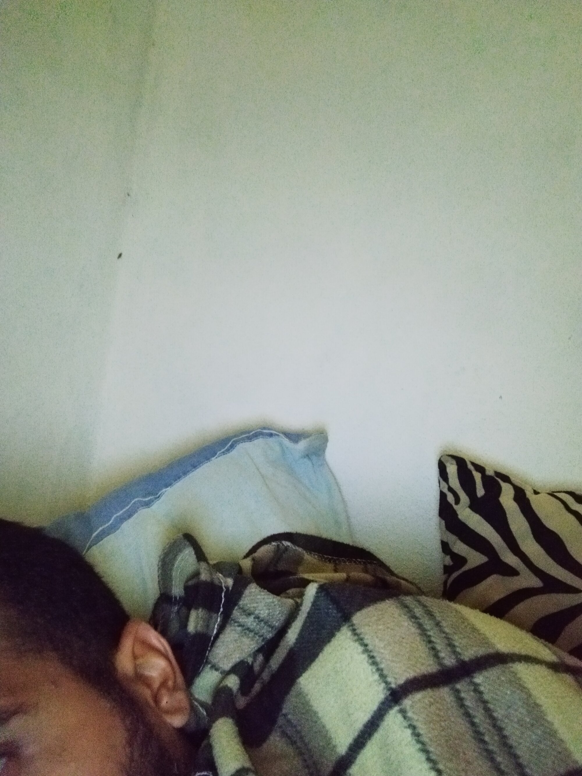 flacoed