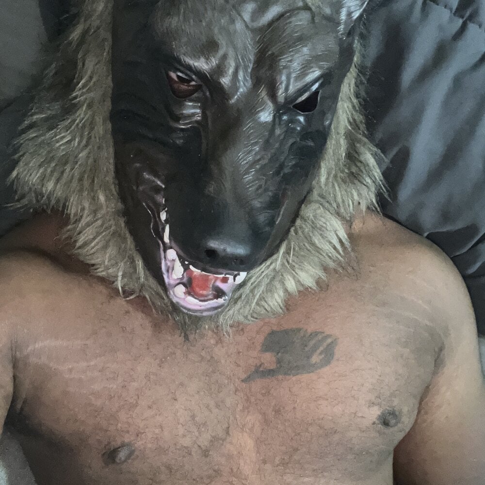 submitdick from stripchat