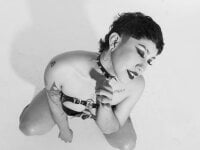 Модель ZahaRose