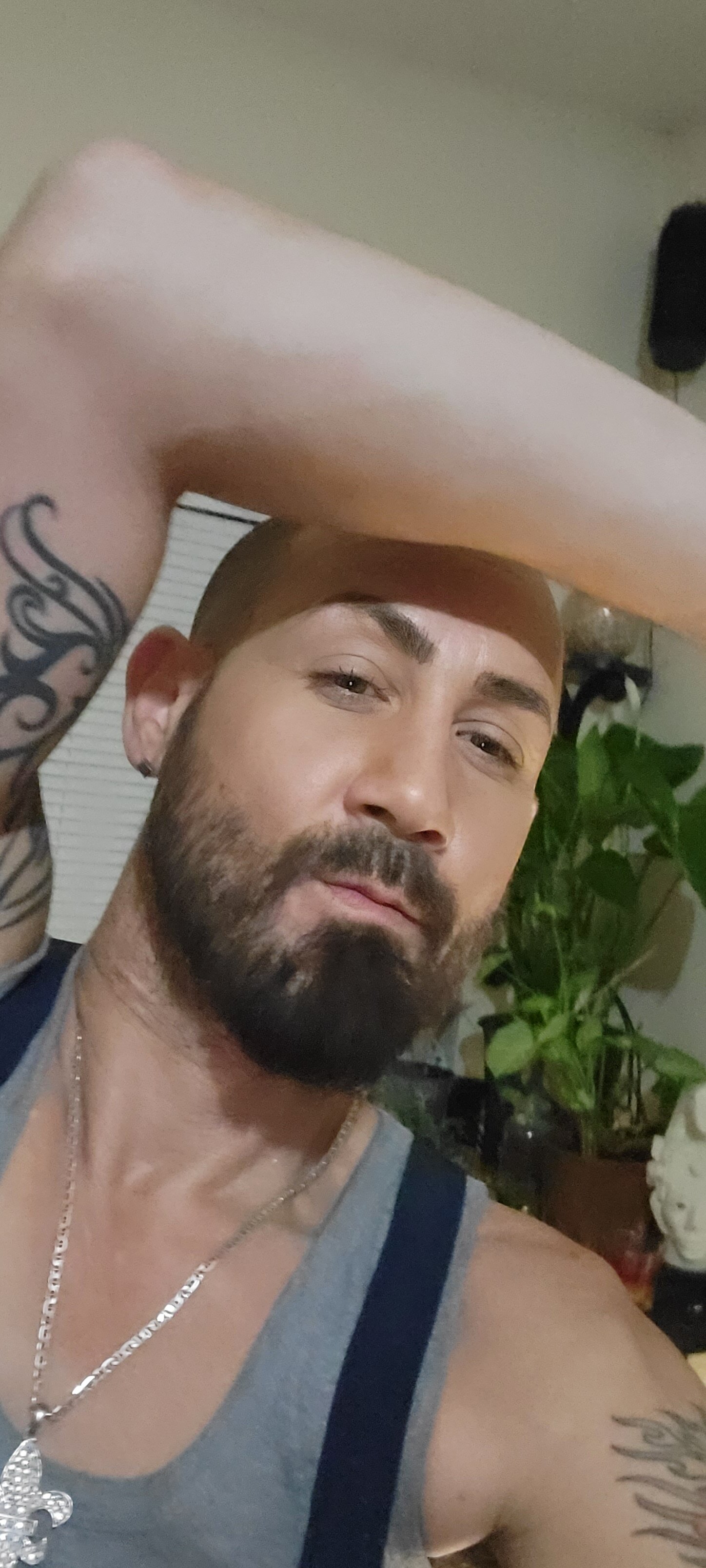 ItalianPapiDripDrip