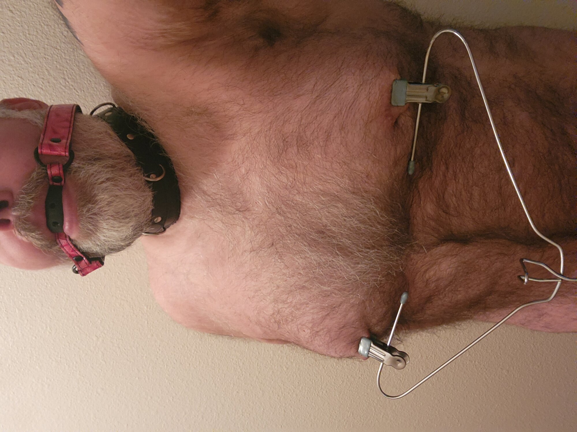 piggy4pain