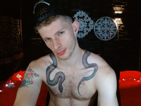 Модель andrewxbi