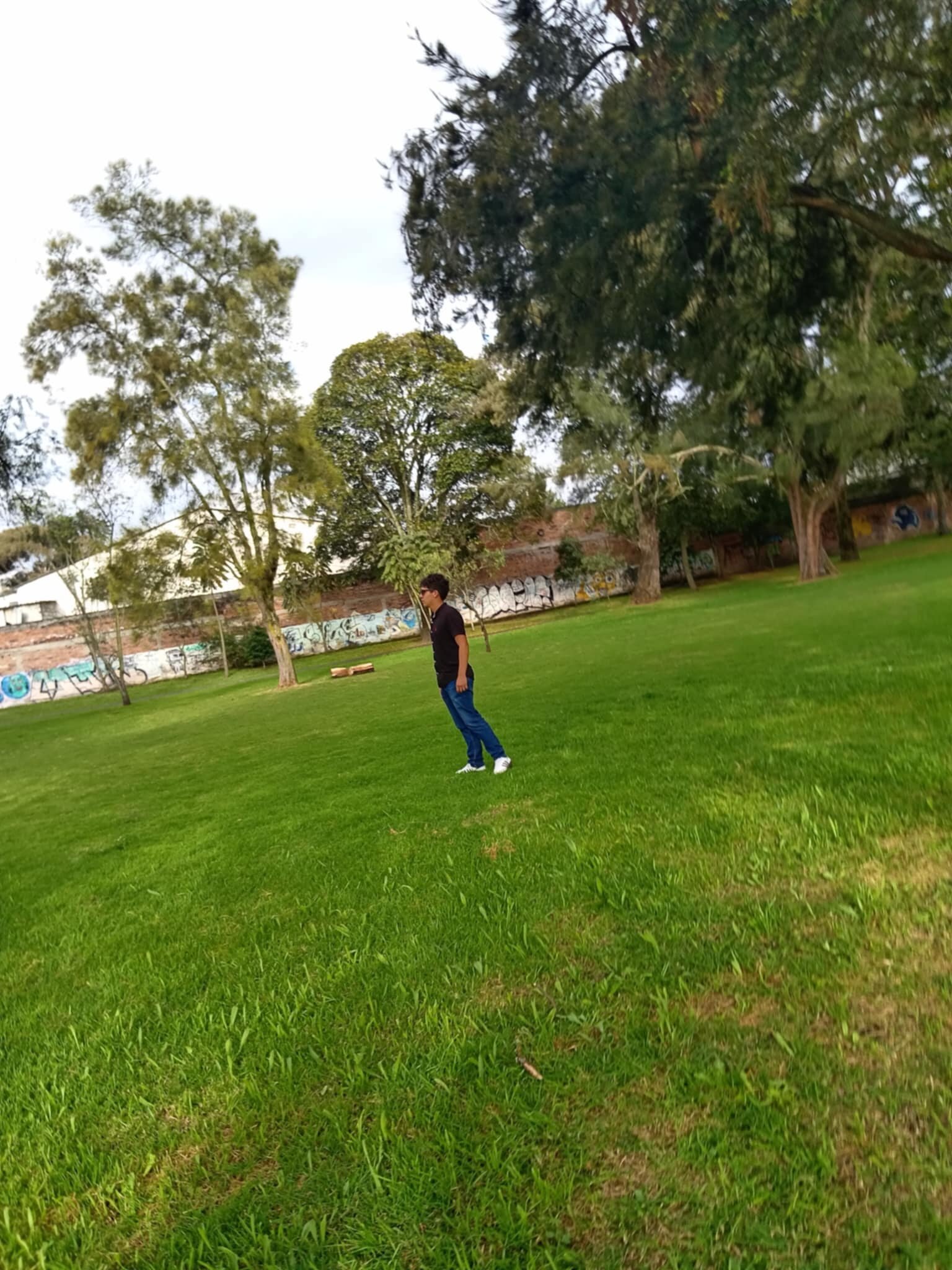 Davisitx