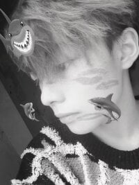 Model XINGXING2563