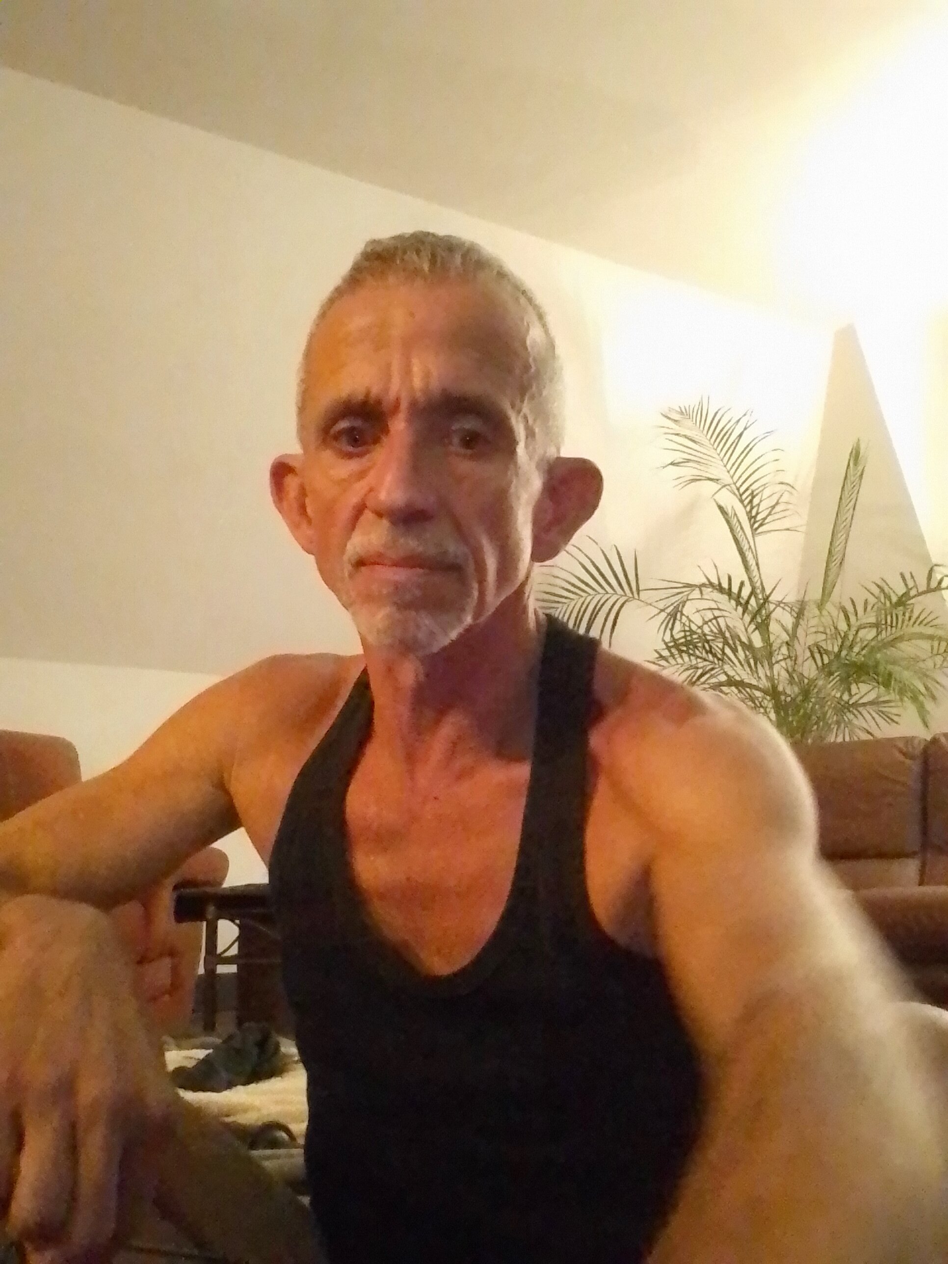 Febus64