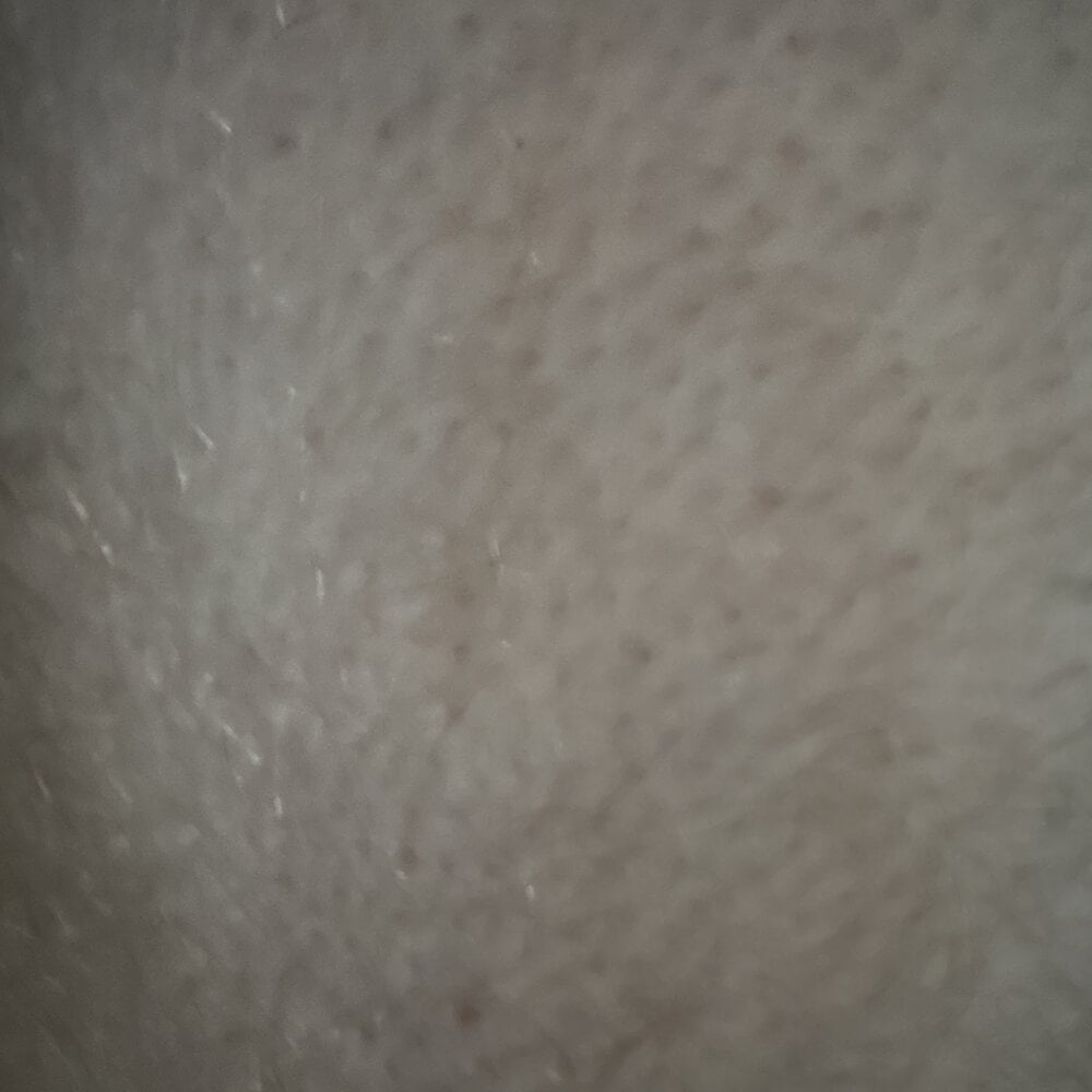 nobodyknowsme178 Obrolan XXX Offline