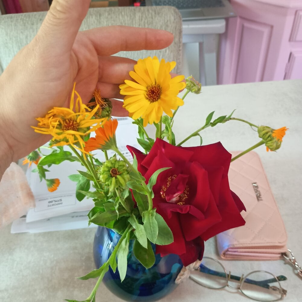 cheapadultsexcams.com lachicadecampo livesex profile in bisexual cams