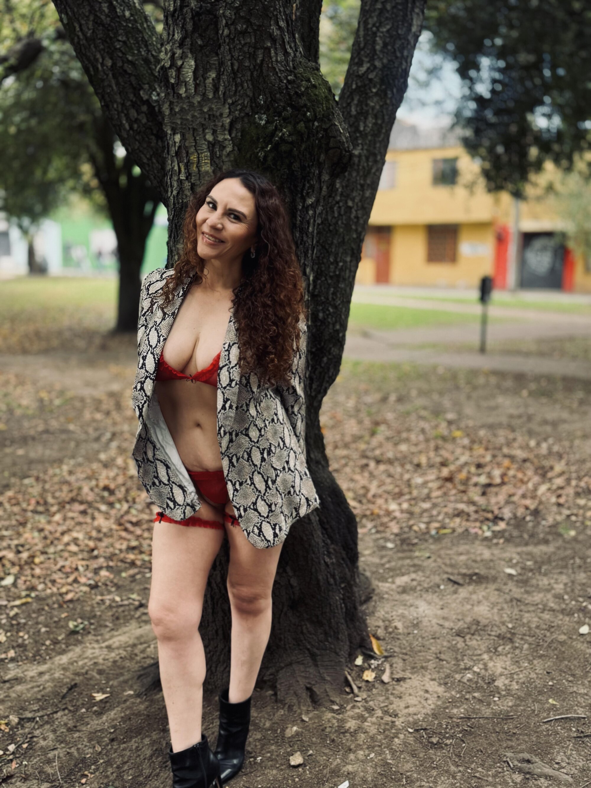 Miavelvett-