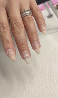 brazilianblondemilf offline chatrum