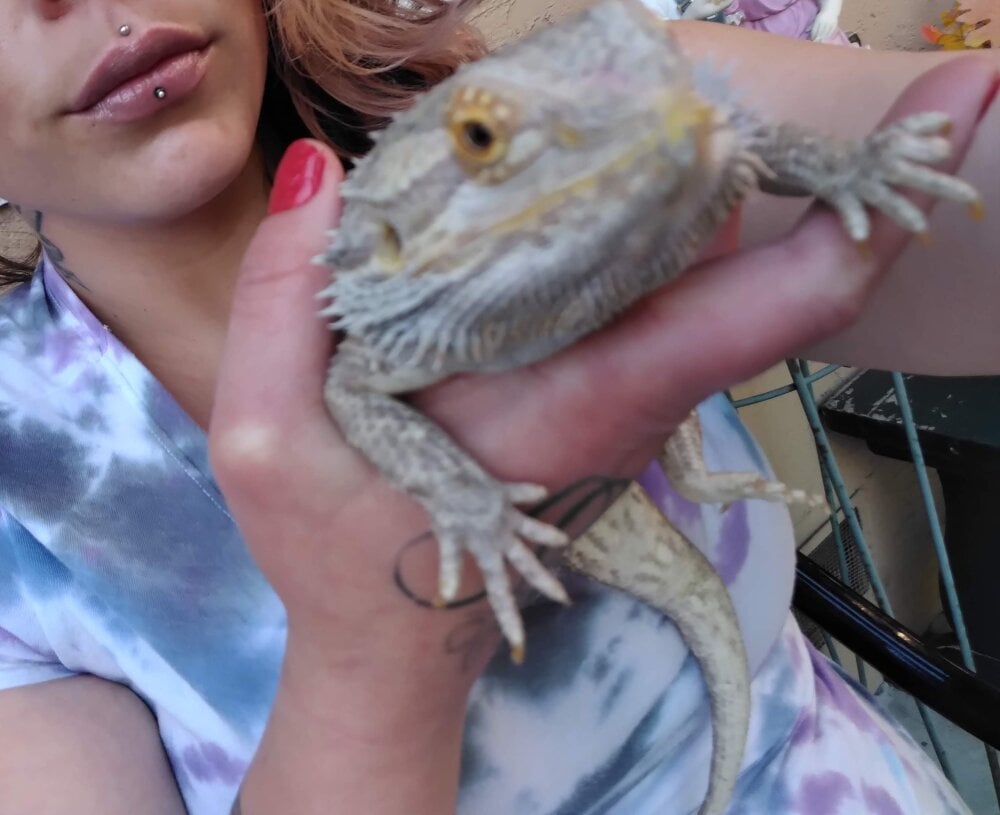 livesex.fan dollfacegang livesex profile in ohio-in-united-states-of-america cams