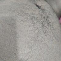 Yourminal's webcam live show