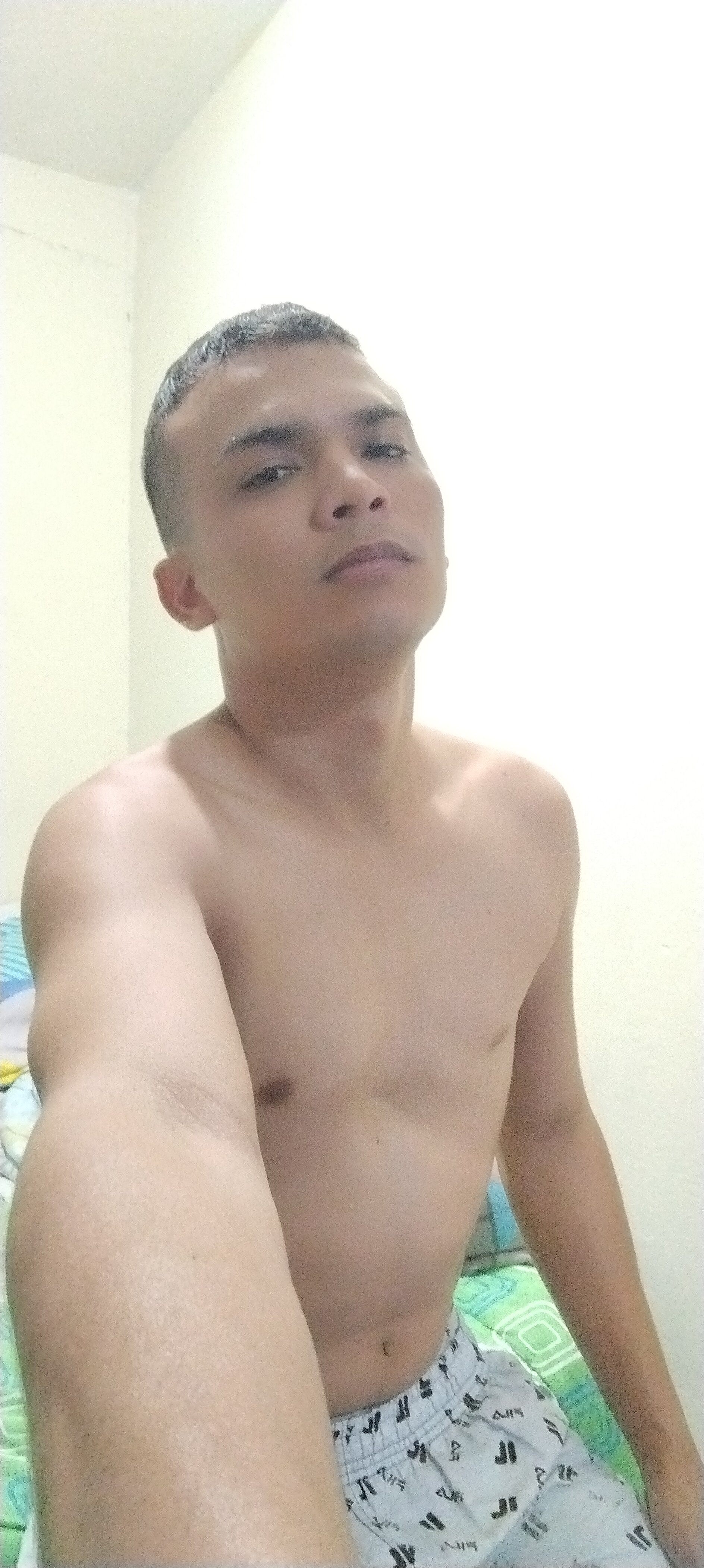 Luisadonis2015