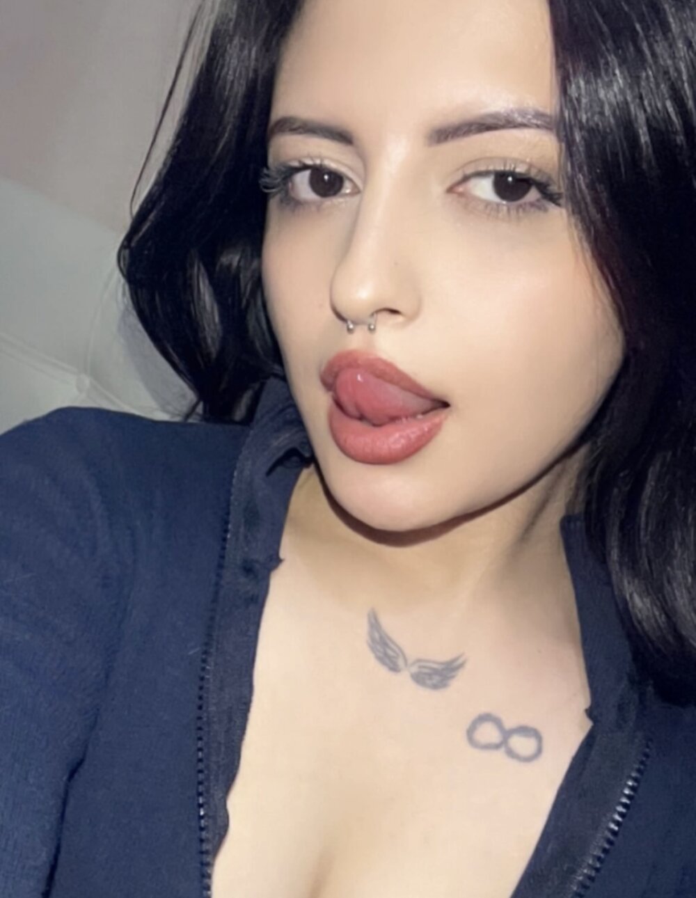 stripdilber profile