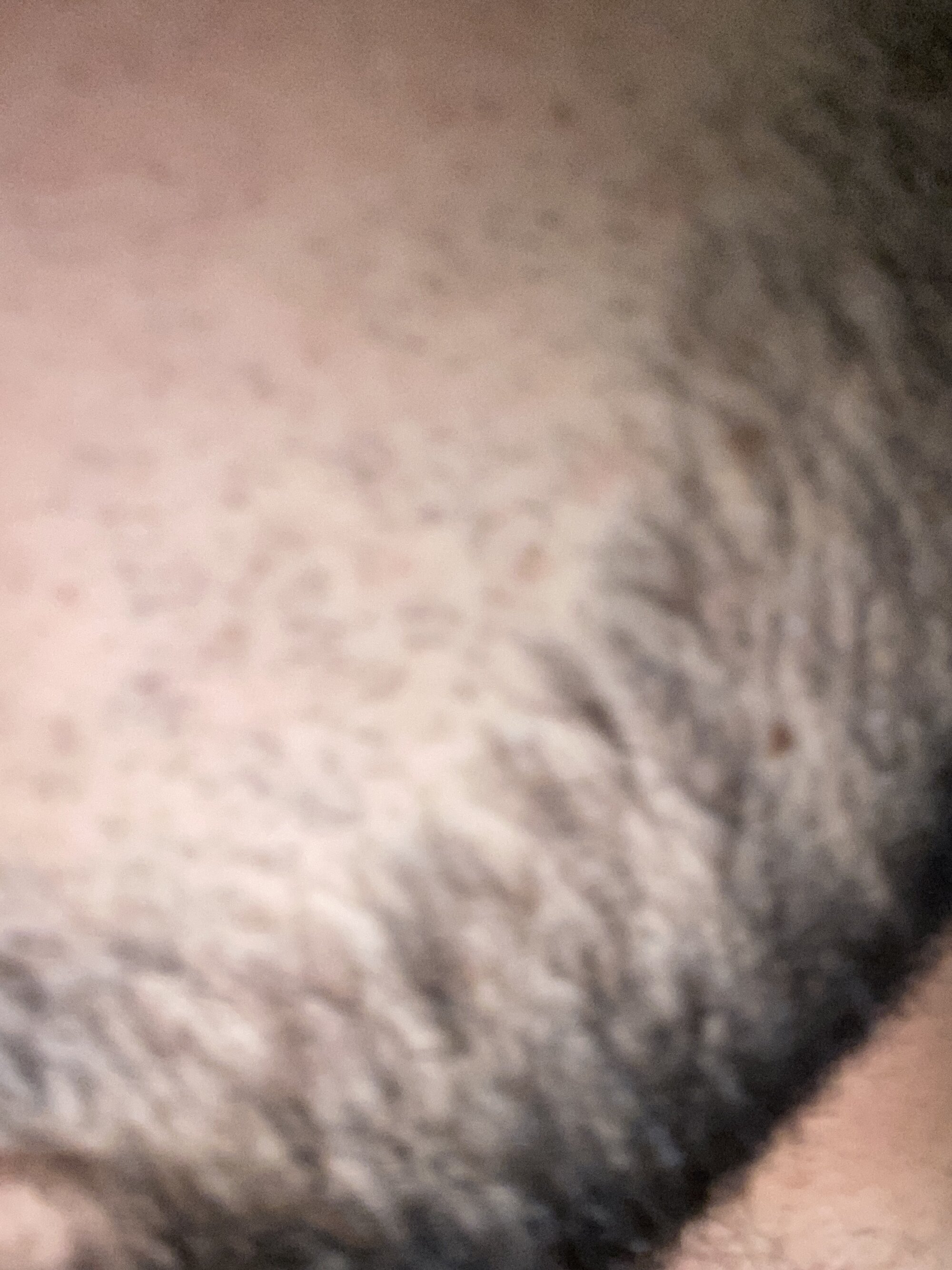 kevvvi