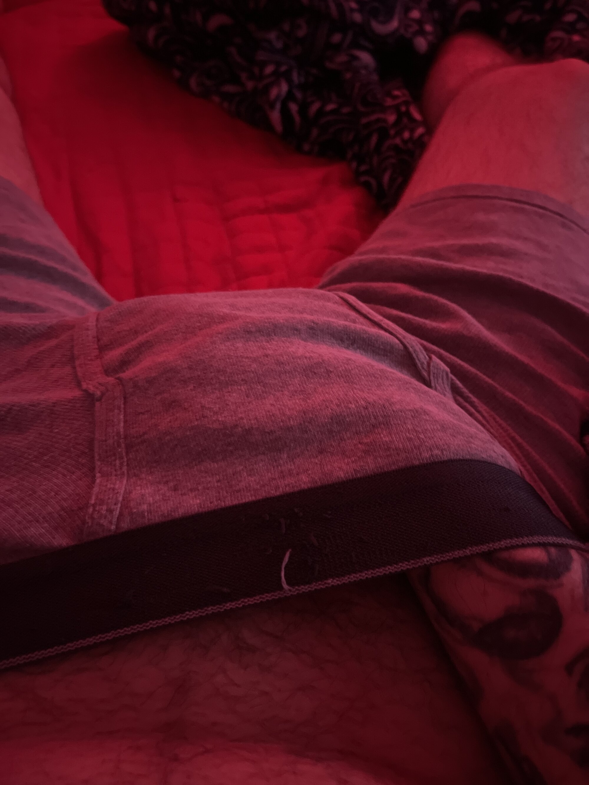 bigdickcuminallday
