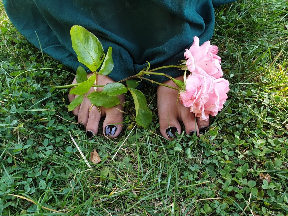 stripchat ladynocturne webcam profile pic via amateursex-livecam.com