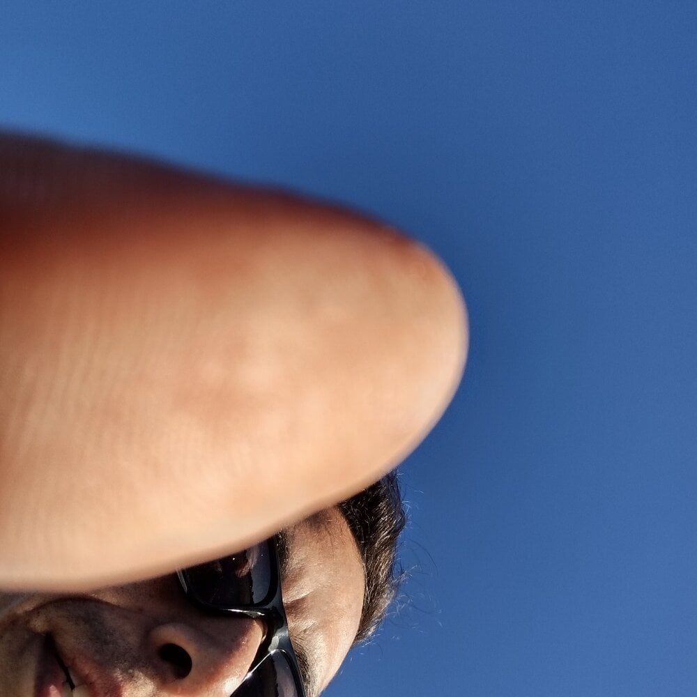 garchapatagonica profile