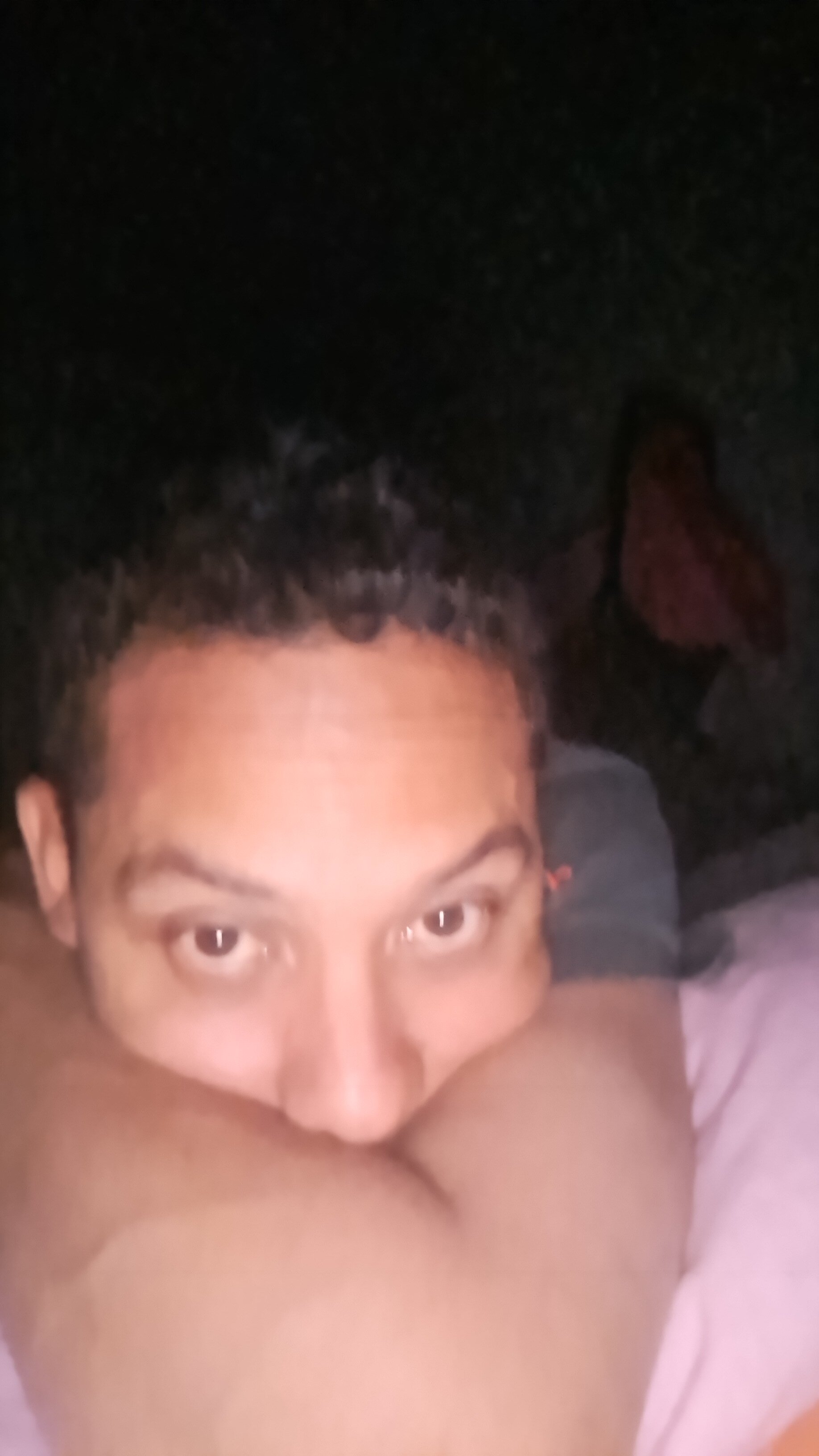 gerar666
