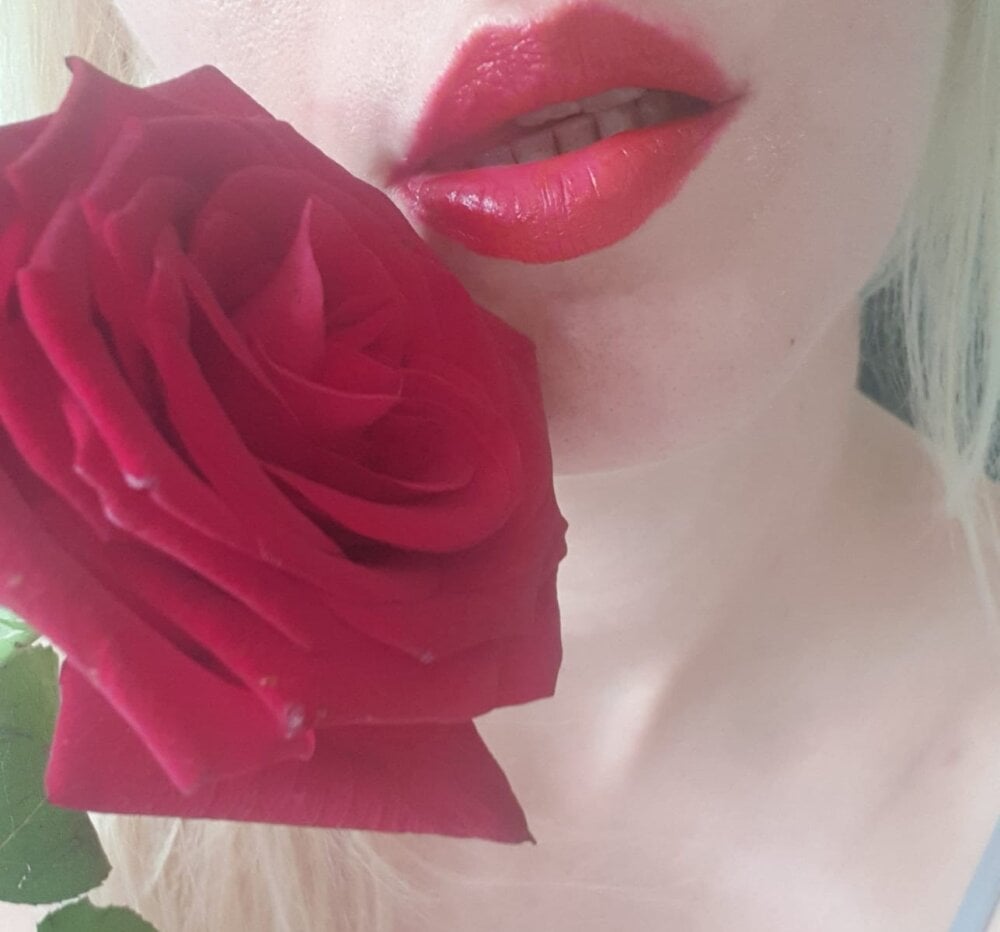 the_red_rose33 profile