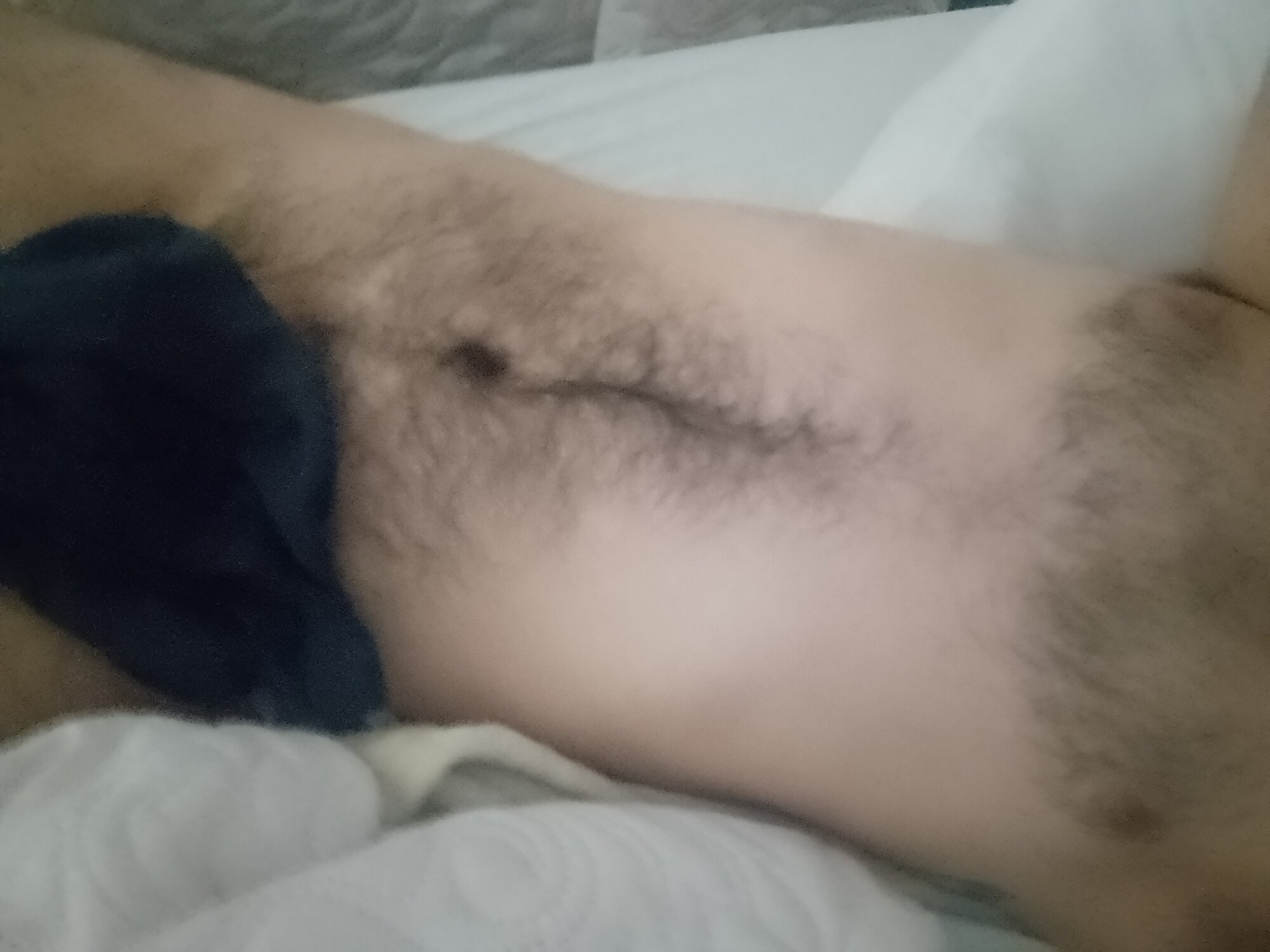 bear3711