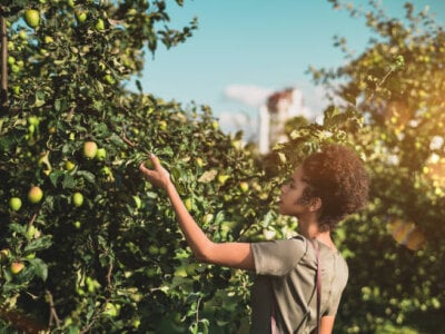 latin_dirty_trans Avatar